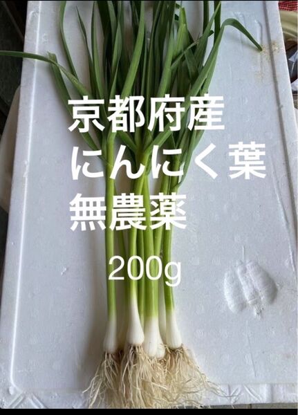 京都府産 無農薬 にんにく葉 200g