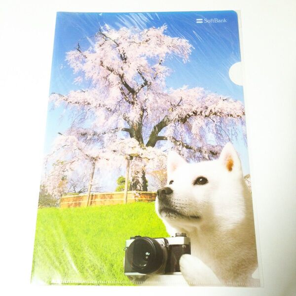 Softbank お父さん犬 クリアファイル A4