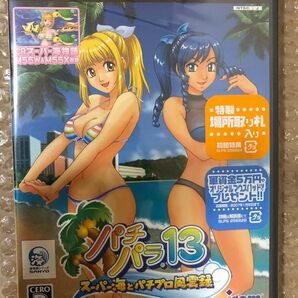 (新品、未開封) PS2 パチパラ13 スーパー海とパチプロ風雲録