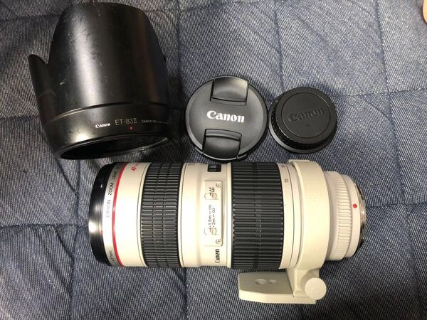 Canon EF 70-200mm f2.8 L USM