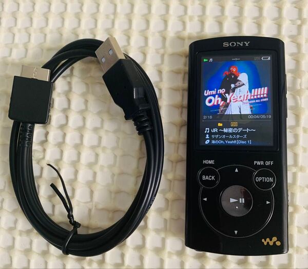 SONY ウォークマン NW-S764 ブラック 充電コード付き
