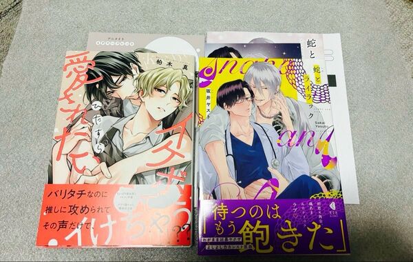 BL新刊 イケボでひたすら愛されたい 柏木真 蛇とライラック 坂井ヤス アニメイト限定8P小冊子 リーフレット イラストカード