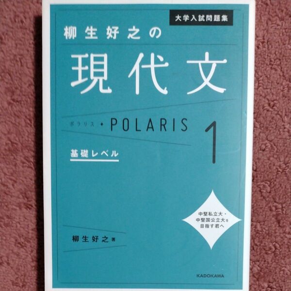 大学入試問題集柳生好之の現代文ポラリス 1 (大学入試問題集) 柳生好之/著