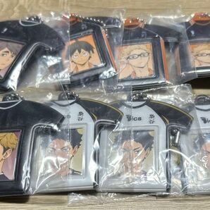 ハイキュー ミニフォトケース