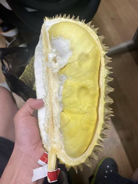 新鮮ドリアン1箱 約10kg
