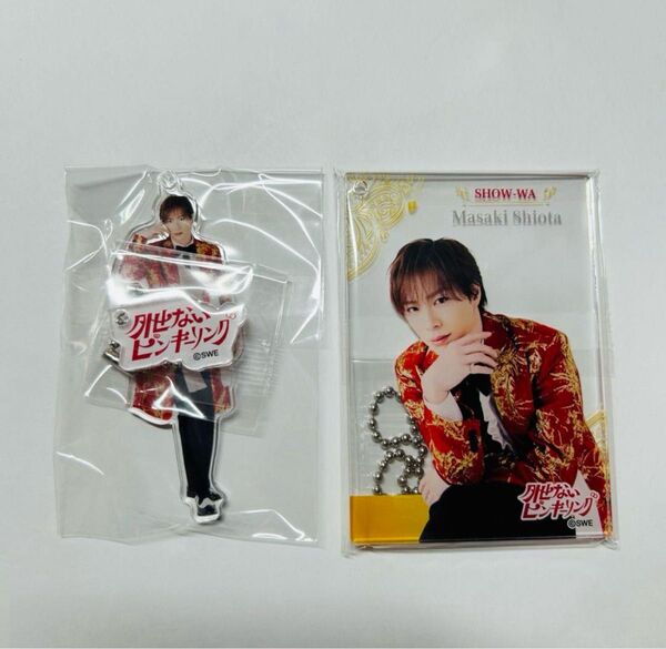 SHOW-WA 塩田将己 アクリルキーホルダー ぽかぽか グッズ カード