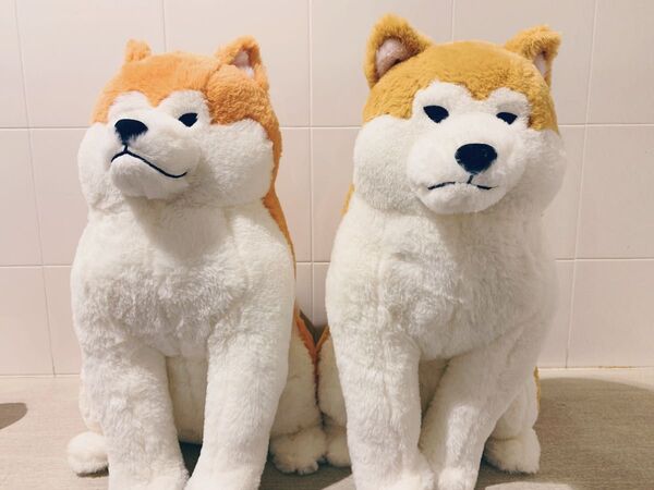 ほっこり秋田犬はち兵衛 ウルトラBIG ぬいぐるみ 2種セット