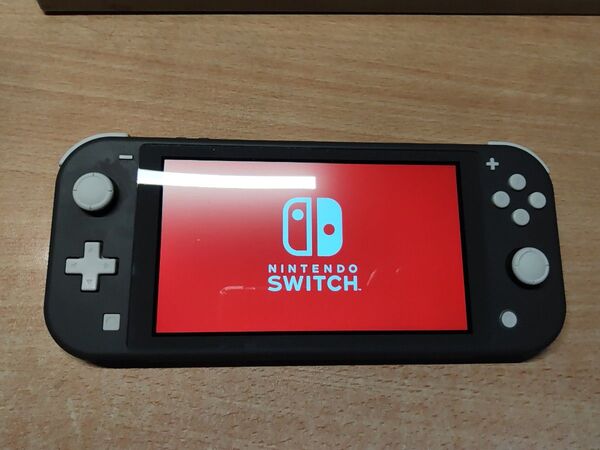 Nintendo Switch Lite グレー+ソフトケース 中古動作品