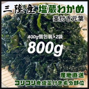 【希少コリコリ食感】塩蔵元葉わかめ 茎付き 800g 三陸産 美味しい 茎付きわかめ