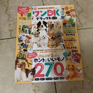 ワンDKデラックス 2023年8月号 付録付き