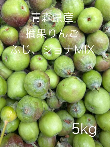大特価限定セール 青森県産摘果りんご ふじ、ジョナMIX 5kg