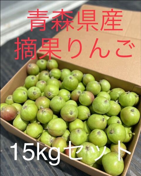 大特価限定セール 青森県産摘果りんご ふじ、ジョナMIX 15kg