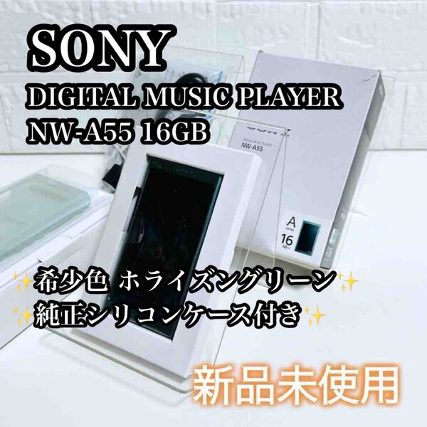 【未使用品】純正ケース付き SONY ウォークマン Aシリーズ NW-A55 ウォークマン 16GB ホライズングリーン