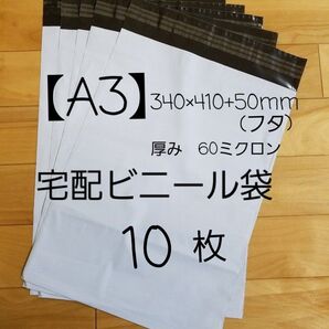 A3宅配ビニール袋 10枚