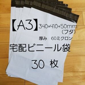 A3宅配ビニール袋 30枚