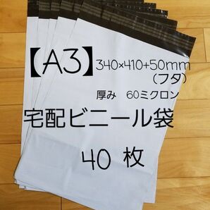 A3宅配ビニール袋 40枚