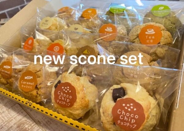 8種のスコーンセット 焼き菓子 手作り スコーン屋さん 限定セール new