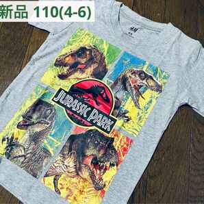 新品 H&M ジュラシックパーク ロゴ半袖Tシャツサイズ110cm相当/4-6 ティラノサウルス ラプトル 子供服