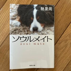 ソウルメイト 地星周 集英社文庫