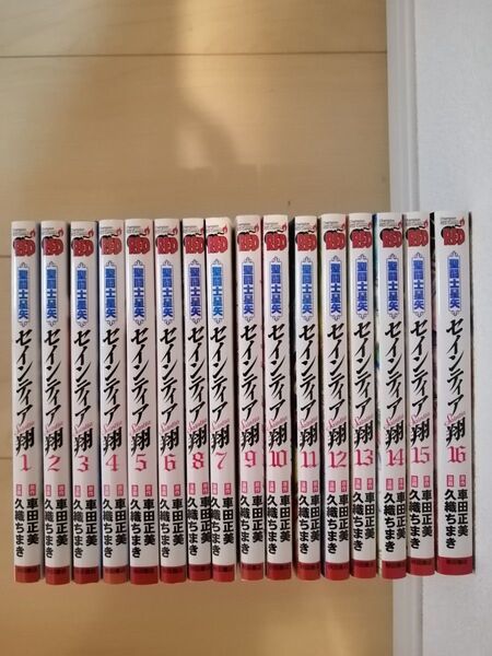 全巻セット セインティア翔 全16巻セット 美品 全巻初版 チャンピオンレッド コミック 漫画