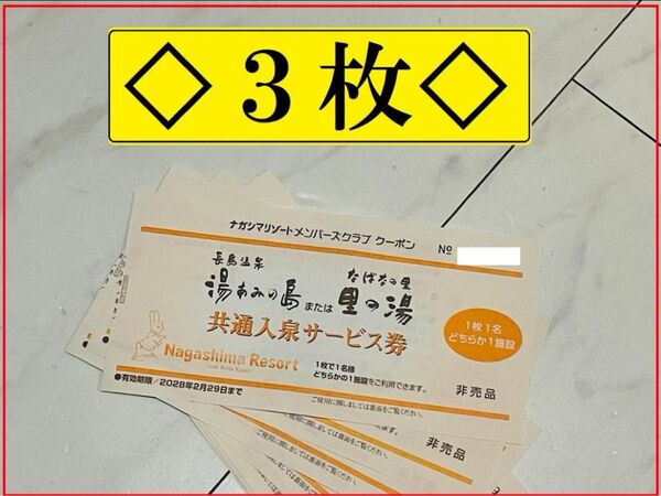 【3枚】湯あみの島《里の湯》共通入泉サービス券 2028年2月29日まで有効【ナガシマリゾート】長島温泉 チケット 入園券 お得