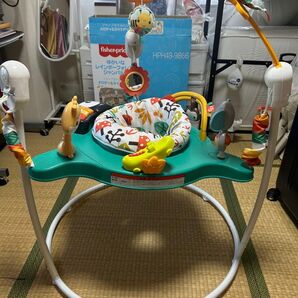 フィッシャープライスゆかいなレインボーフォレストジャンパルー