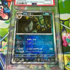 ブラッキー マスターボールミラー マスボ テラスタルフェスex PSA10 ポケカ