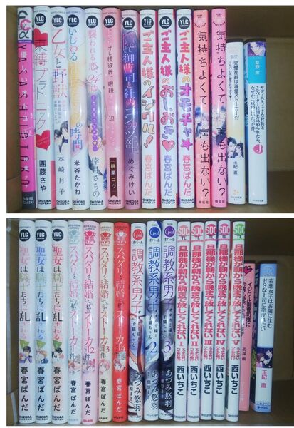 TLコミック 27冊 & TL小説 4冊