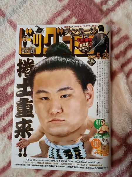 ビッグコミック5月25日号