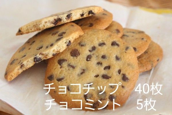 ステラおばさん クッキー チョコチップ チョコミント 限定