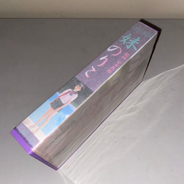 正規品 セル品(非レンタル) VHS 会田我路 監修 妹 のりこ 橘のりこ