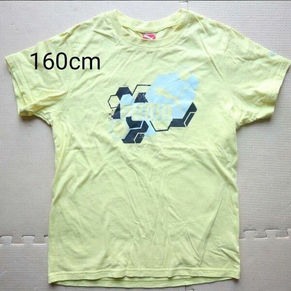 プーマ 160cm コットン半袖Tシャツ 黄色 男児 夏トップス PUMA