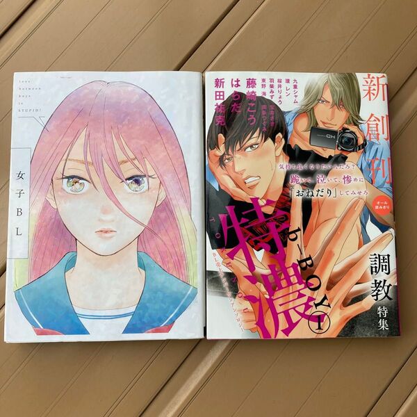 女子BL シトロンC/アンソロジー (著者) など2冊セット