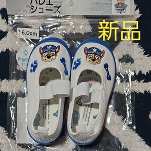 上履き 子供用靴 バレーシューズ パウパトロール