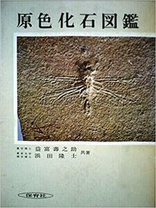 原色化石図鑑 　1966年　保育社の原色図鑑　48　益富 寿之助　浜田 隆士　希少　レア本　入手困難