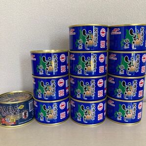 いわし水煮、さば水煮 缶詰め 12缶