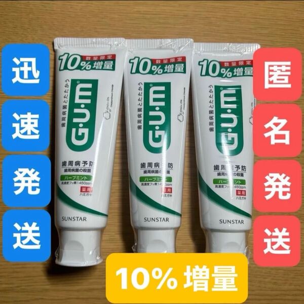 10%増量★サンスター GUM ガム デンタルペースト132g 3本セット●歯磨き粉 殺菌 歯周病 虫歯 口臭防止 高濃度フッ素