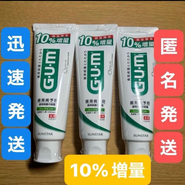 10%増量★サンスター GUM ガム デンタルペースト132g 3本セット●歯磨き粉 殺菌 歯周病 虫歯 口臭防止 高濃度フッ素
