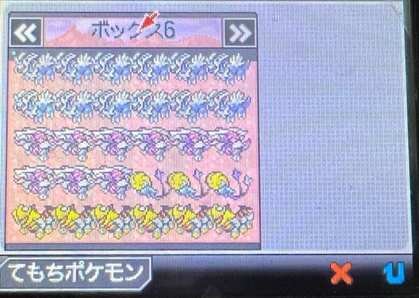 ポケットモンスターBW【伝説多数】※色違い・配布も