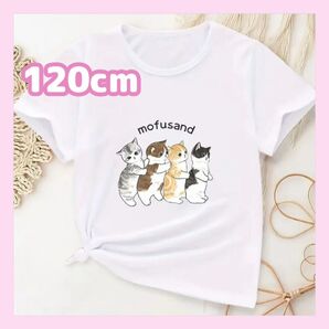 新品 モフサンド 半袖Tシャツ 120cm ホワイト 猫 可愛い