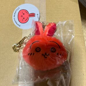 いつもとちがうよ おかおマスコット うさぎ