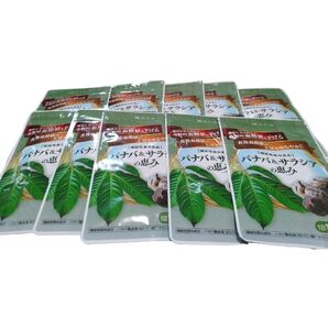 新品未使用 未開封 和漢の森 バナバ & サラシアの恵み 30粒 10袋セット