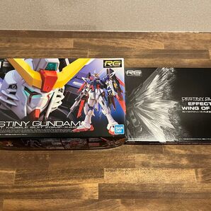 RG 1/144 ZGMF-X42S デスティニーガンダム + 拡張エフェクトユニット光の翼 セット 未組立