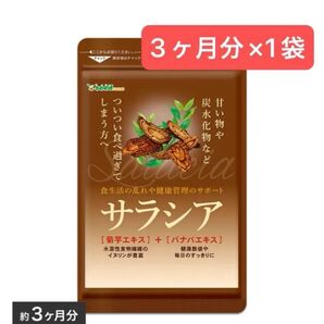 3ヶ月分×1袋 サラシア シードコムス 菊芋 イヌリン 炭水化物 ダイエット サプリメント