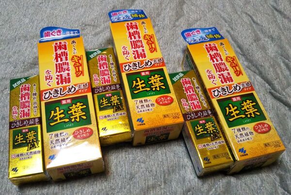 【未開封品】小林製薬 生葉 薬用ハミガキ 100g×3個+試供品10g×3個