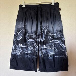 BIGWAVE メンズ 水着 海パン イルカ柄 ブラック M