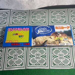 ★YAMAKATSU(山勝)★ エリマキトカゲ 未開封 ミニカード くじ引き 駄菓子屋さん 昭和 レトロわくわく動物ランド
