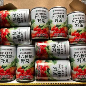 世田谷自然食品 十六種類の野菜 合計10本セット