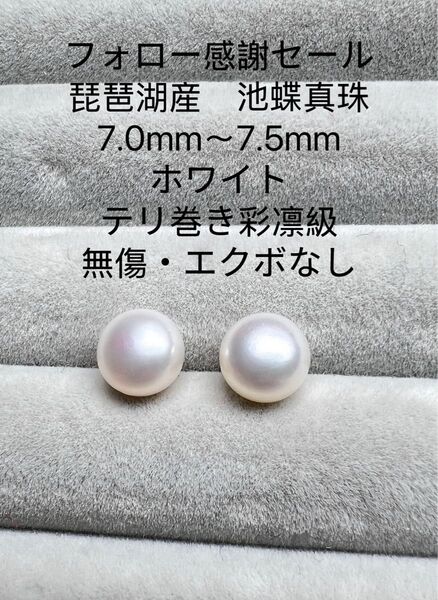 フォロー感謝セール 琵琶湖産 池蝶真珠 テリ巻き彩凛級 7.0mm〜7.5mm