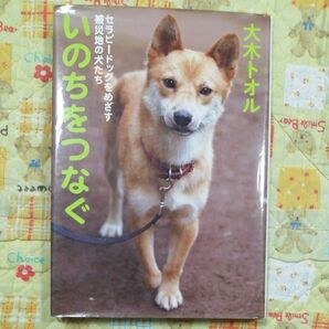 いのちをつなぐ セラピードッグをめざす被災地の犬たち (ノンフィクション・生きるチカラ 13) 大木トオル/著